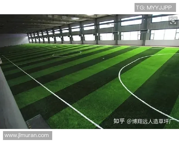 天然足球场价格揭秘如何选择合适的场地与预算建议